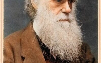Feliz 203° Cumpleaños, Charles Darwin