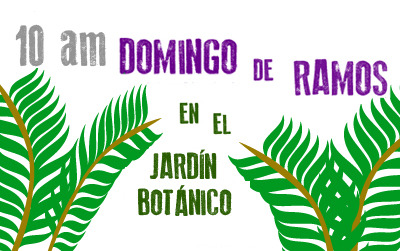 El Jardín Botánico sigue violando impunemente la Constitución