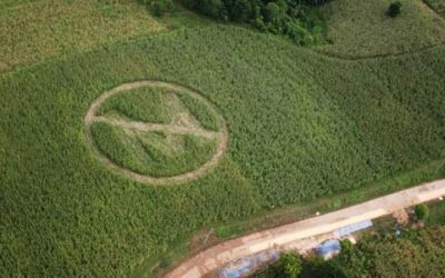 La monsantofobia explicada