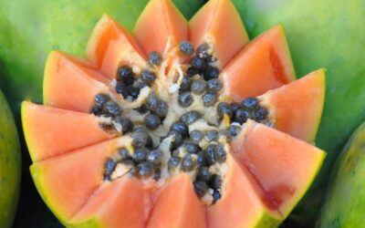 La historia de la papaya arcoíris