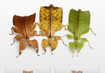 App gratuita para iPad sobre Evolución