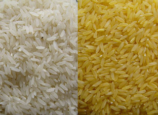 El arroz dorado es mejor que las espinacas