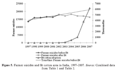 Transgénicos no causan suicidios de agricultores