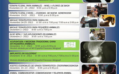 ¡Cursos de maltrato animal en Bogotá!