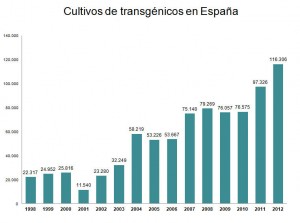 Transgénicos benefician a agricultores españoles