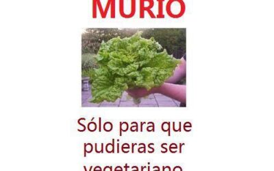 Esta lechuga murió