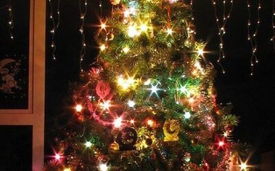 ¿Árboles de Navidad? Tradición pagana