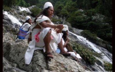 Cómo no oponerse al ‘ecoturismo’ en el Tayrona