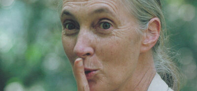 ¿Todavía hay esperanza para Jane Goodall?