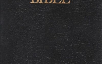 Reseña de la Santa Biblia