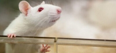 Animalistas destruyen años de investigación