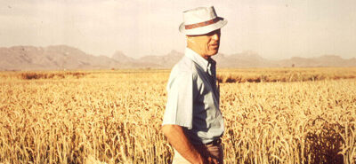 Usar las herramientas de la biotecnología para promover el legado de Borlaug
