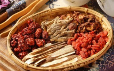 El mito de la medicina ‘tradicional’ china