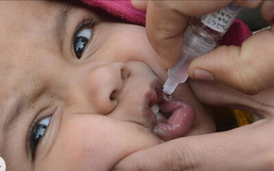 India libre de polio