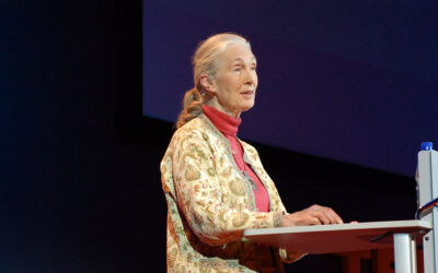 Jane Goodall, de científica a promotora de anticiencia