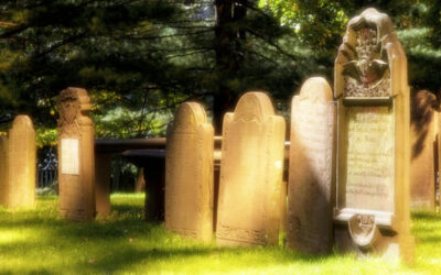 Suecia estrena primer cementerio libre de religión